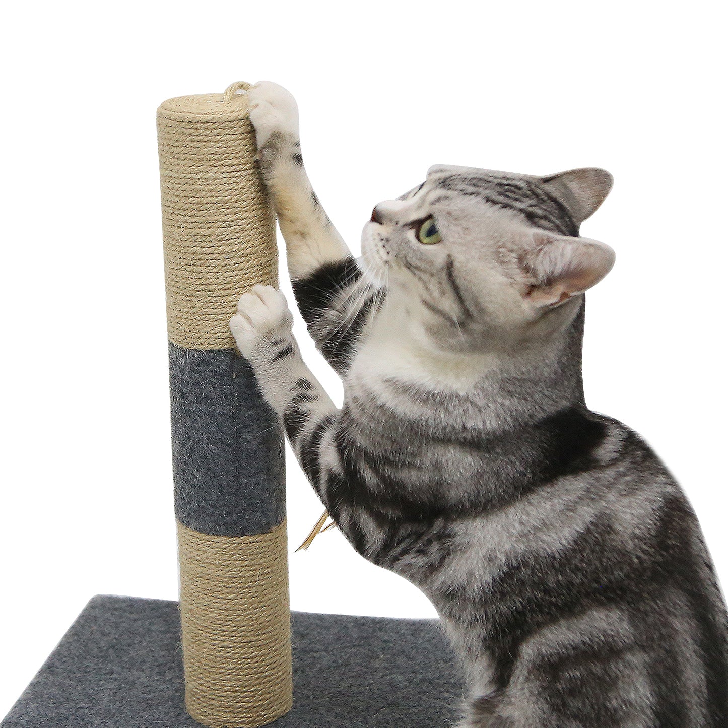 Mini Cat Scratching Tree, Has Cat Toy with Feathers